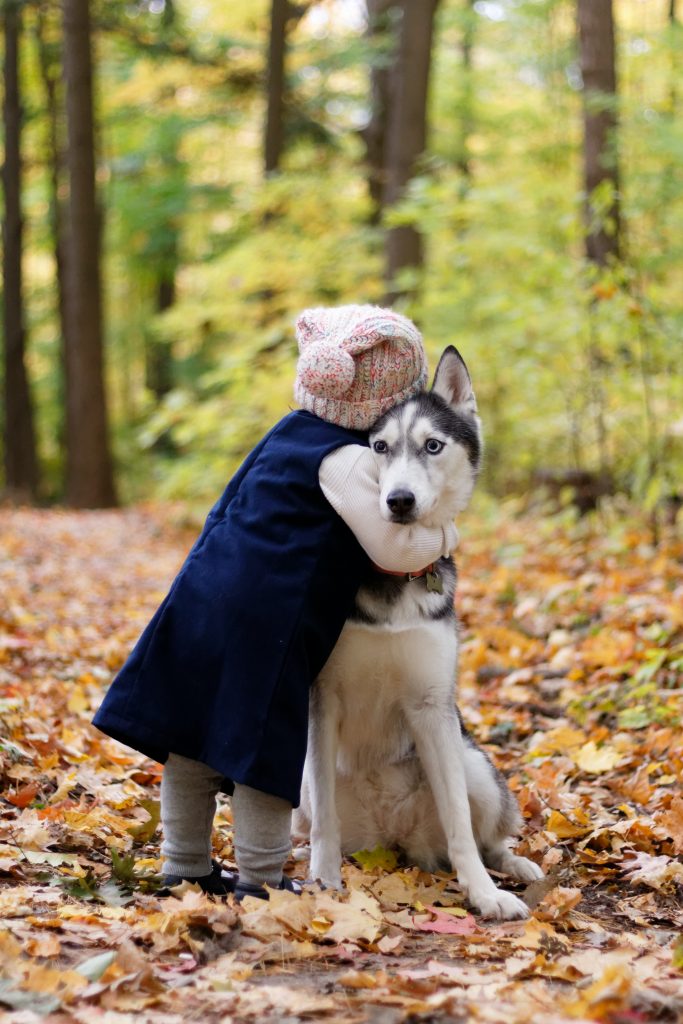 Comment choisir le bon panier pour chien en fonction de la race, taille et âge de votre animal